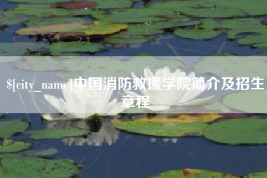 中国香港中国消防救援学院简介及招生章程