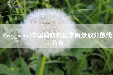 中国香港中国消防救援学院录取分数线公布