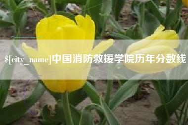 中国香港中国消防救援学院历年分数线