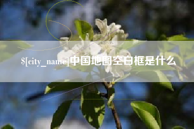 中国香港中国地图空白框是什么