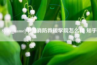 中国香港中国消防救援学院怎么样 知乎