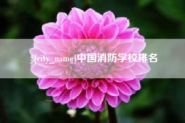 中国香港中国消防学校排名