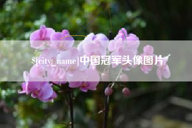 中国香港中国冠军头像图片