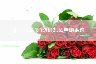 中国香港消防证怎么查询系统