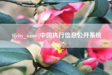 中国香港中国执行信息公开系统