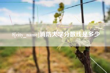 中国香港消防大学分数线是多少