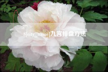 中国香港九宫排盘方法