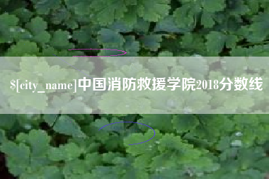 中国香港中国消防救援学院2018分数线