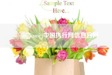 中国香港中国执行网信息官网