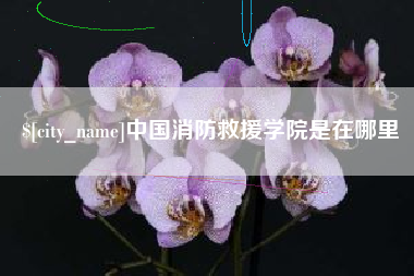 中国香港中国消防救援学院是在哪里