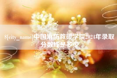 中国香港中国消防救援学院2024年录取分数线是多少