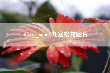 中国香港九宫格龙图片