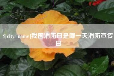 中国香港我国消防日是哪一天消防宣传日
