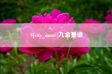 中国香港九金是谁