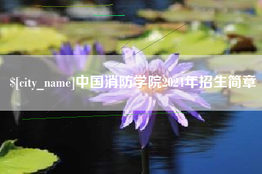 中国香港中国消防学院2024年招生简章