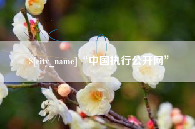 中国香港“中国执行公开网”