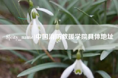 中国香港中国消防救援学院具体地址