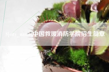 中国香港中国救援消防学院招生简章
