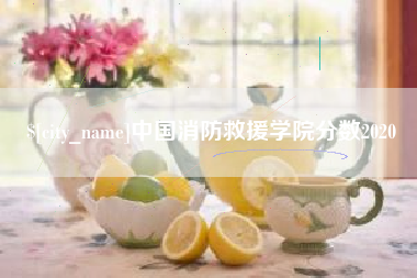 中国香港中国消防救援学院分数2020