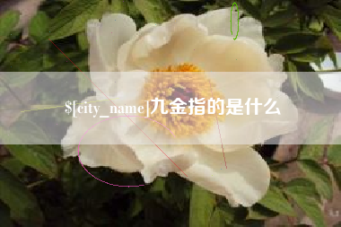 中国香港九金指的是什么