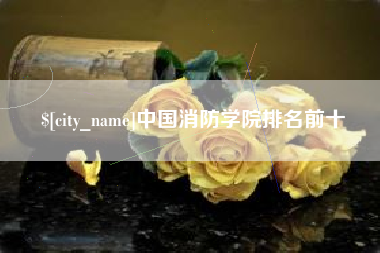 中国香港中国消防学院排名前十