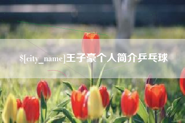 中国香港王子豪个人简介乒乓球