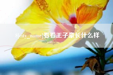 中国香港看看王子豪长什么样