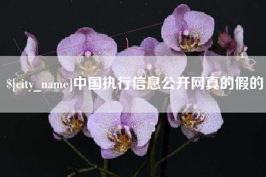 中国香港中国执行信息公开网真的假的