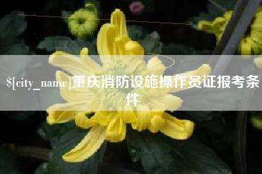 中国香港重庆消防设施操作员证报考条件