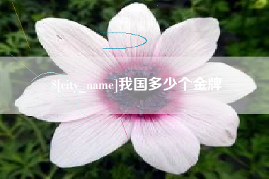 中国香港我国多少个金牌