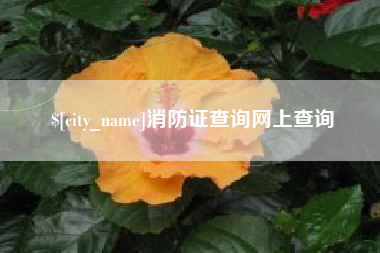 中国香港消防证查询网上查询