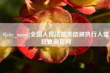 中国香港全国人民法院失信被执行人信息查询官网
