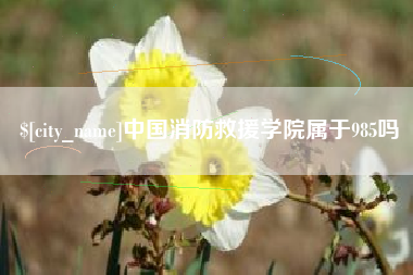 中国香港中国消防救援学院属于985吗