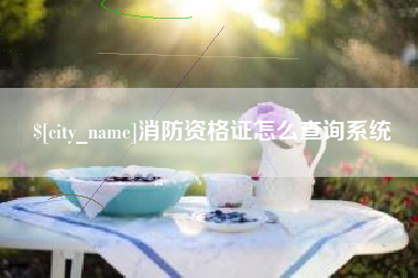 中国香港消防资格证怎么查询系统