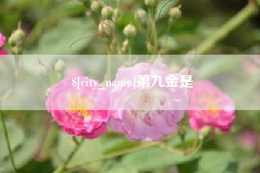 中国香港第九金是