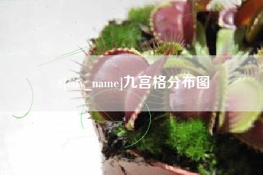 中国香港九宫格分布图