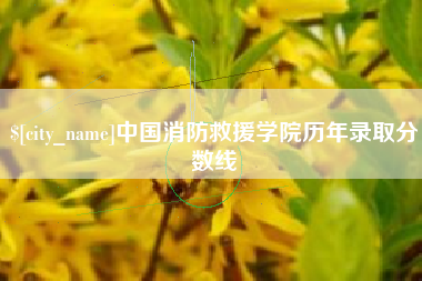 中国香港中国消防救援学院历年录取分数线