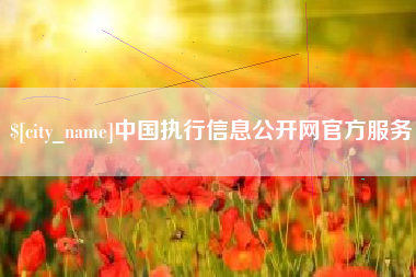 中国香港中国执行信息公开网官方服务