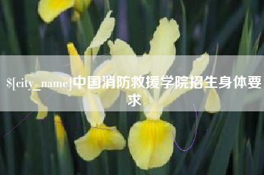 中国香港中国消防救援学院招生身体要求