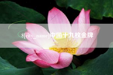 中国香港中国十九枚金牌