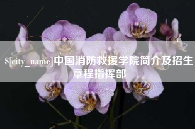 中国香港中国消防救援学院简介及招生章程指挥部