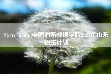 中国香港中国消防救援学院2021年山东招生计划