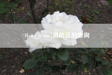 中国香港消防证的查询