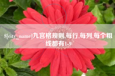 中国香港九宫格规则,每行,每列,每个粗线都有1-9