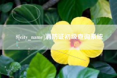 中国香港消防证初级查询系统