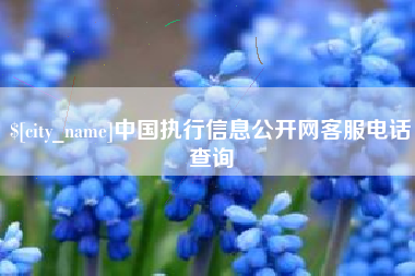 中国香港中国执行信息公开网客服电话查询