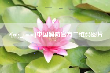 中国香港中国消防官方二维码图片