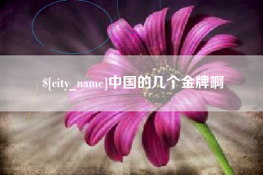 中国香港中国的几个金牌啊