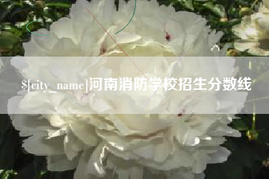 中国香港河南消防学校招生分数线