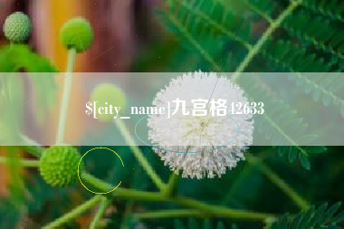 中国香港九宫格42633